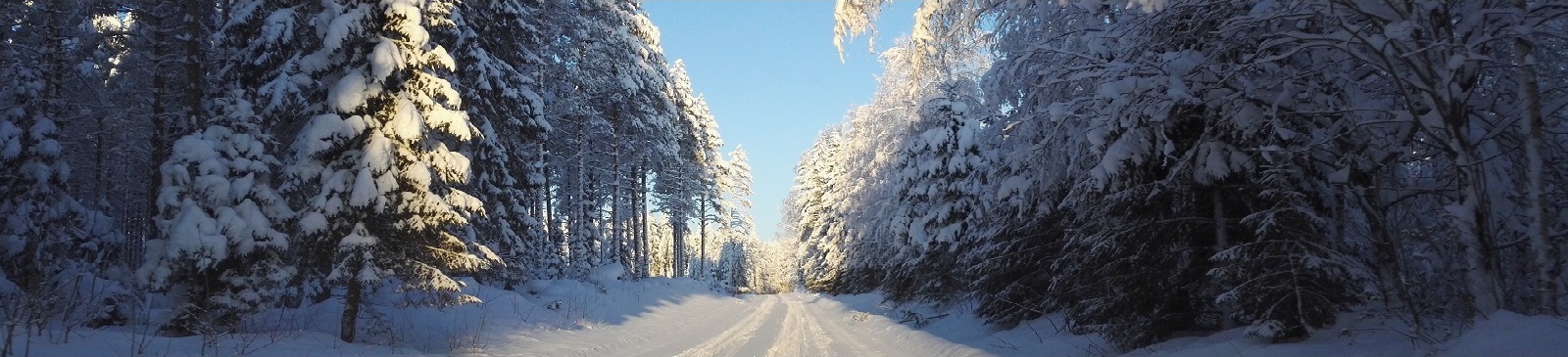 Tiemaisema